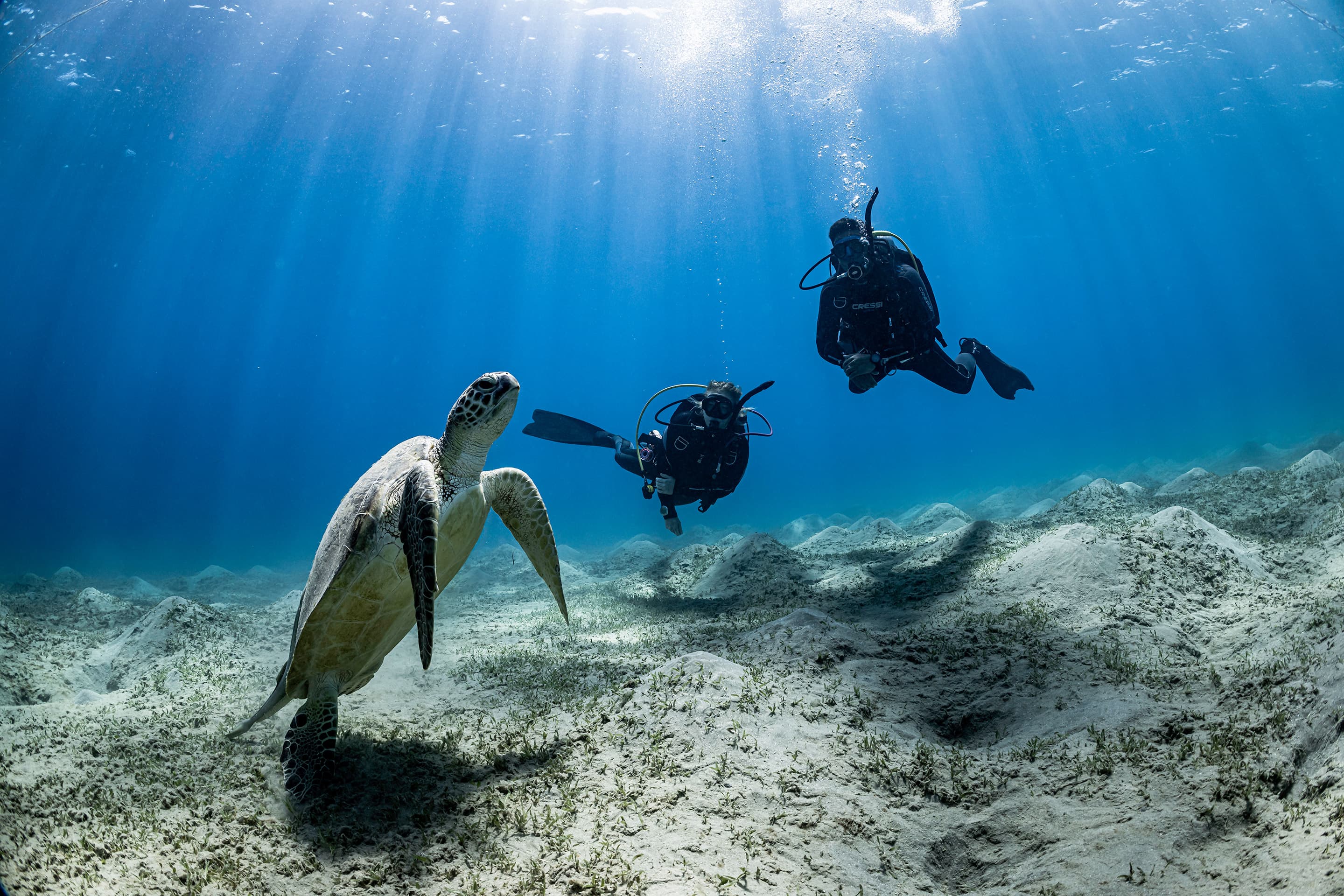 PRIMERA EXPERIENCIA EN MAR, RÍO O LAGO. DISCOVER SCUBA DIVING PADI. 100€
