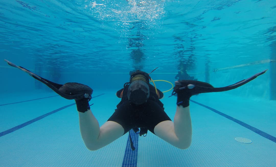 TALLER DE ALETEO. 150€