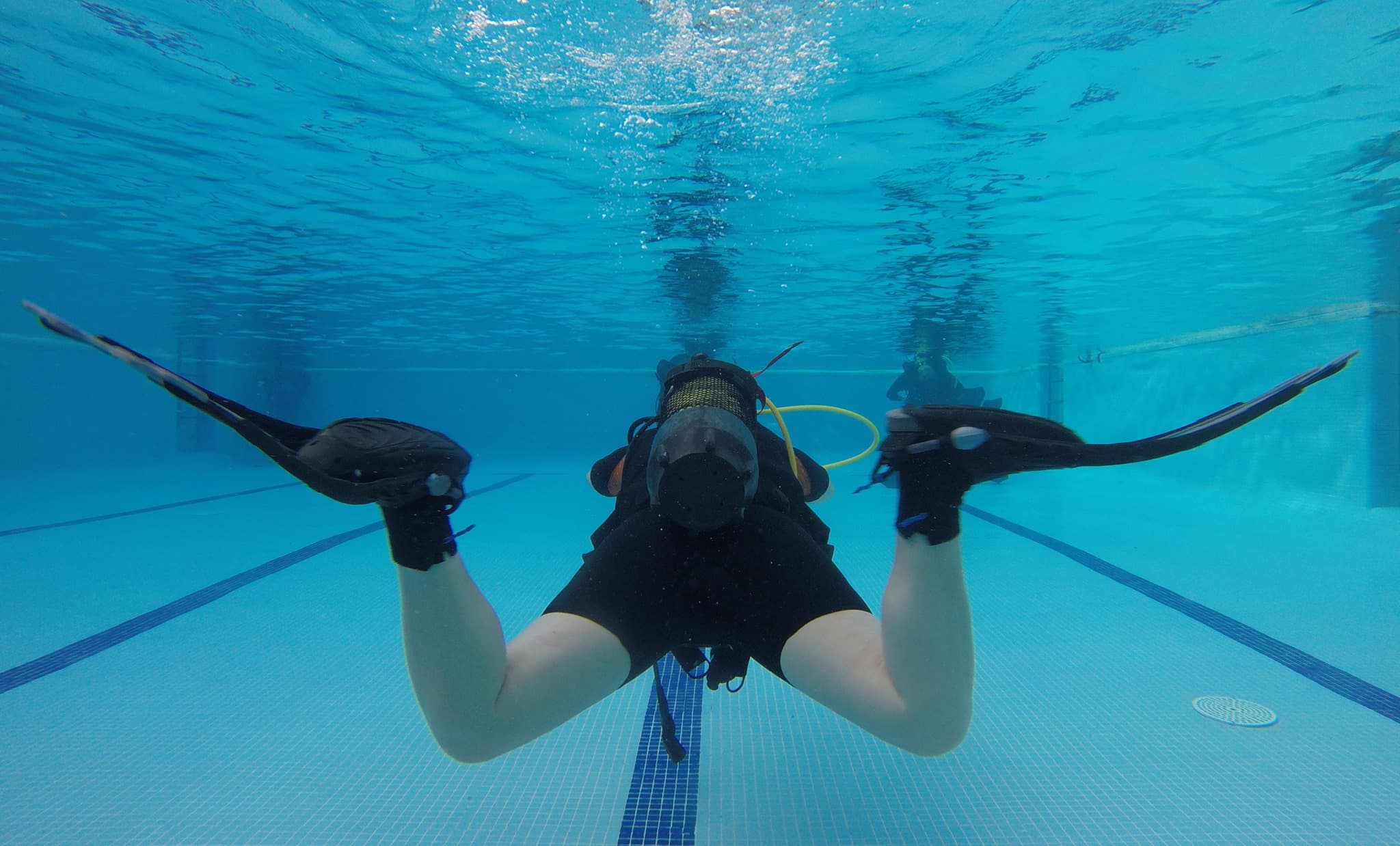 TALLER DE ALETEO. 150€