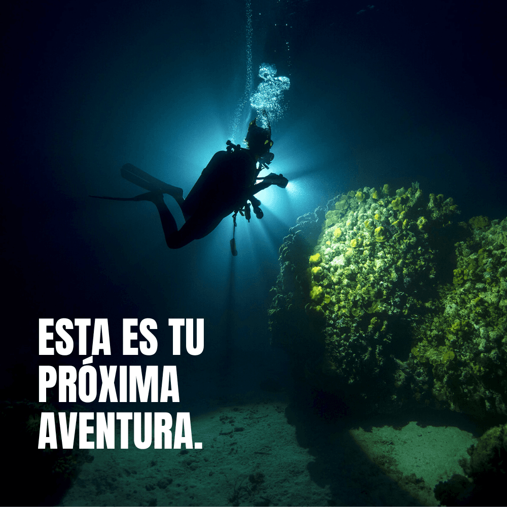 Buceo nocturno. Especialidad de PADI Night Diver. 330€