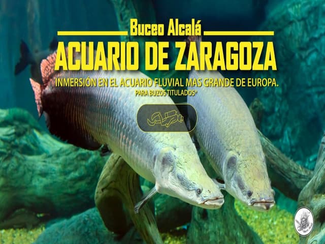ACUARIO FLUVIAL. Inmersión y fin de semana 4**** 295€