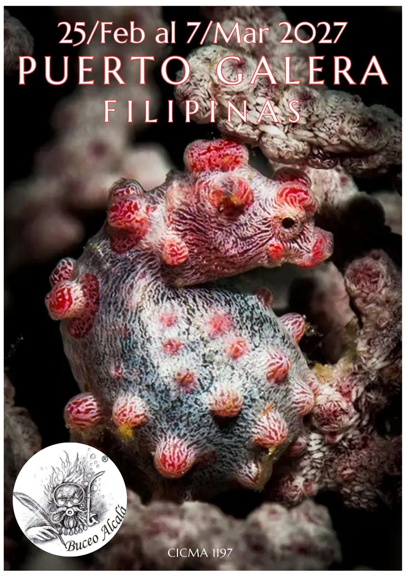 Filipinas. Puerto Galera 25 febrero/7 marzo 2027. 3025€