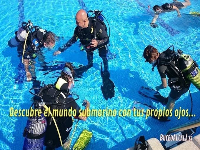 PRIMERA EXPERIENCIA EN PISCINA. PADI – DISCOVER SCUBA DIVING